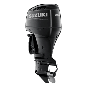 2025 Suzuki DF250